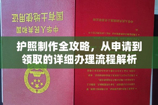 苏州护照制作全攻略，从申请到领取的详细办理流程解析